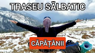 Un traseu superb spre creasta Muntilor Capatanii. Vaideeni-Lacul Balota-Vf. Capatana 2097m (Ep. 43)