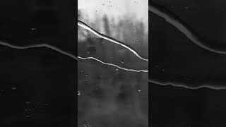 The Loser  Verzache 1am  latenightfeelings