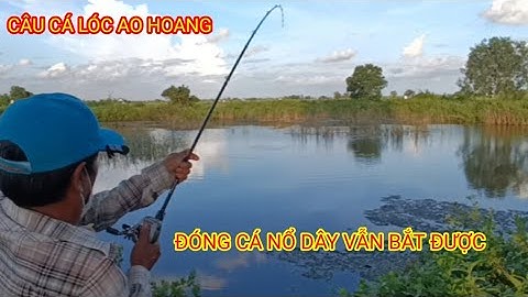 Nổ dây giữa ao bỏ hoang câu cá lóc rất kịch tính-fishing in rural Vietnam