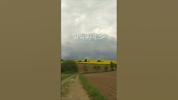 سورة الأنعام الآية 44 و 45 بصوت القارئ سعود الشريم