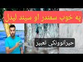 په خوب کې اوبه سيند او سمندر ليدل څه معنا لري حيرانوونکې تعبيرونه