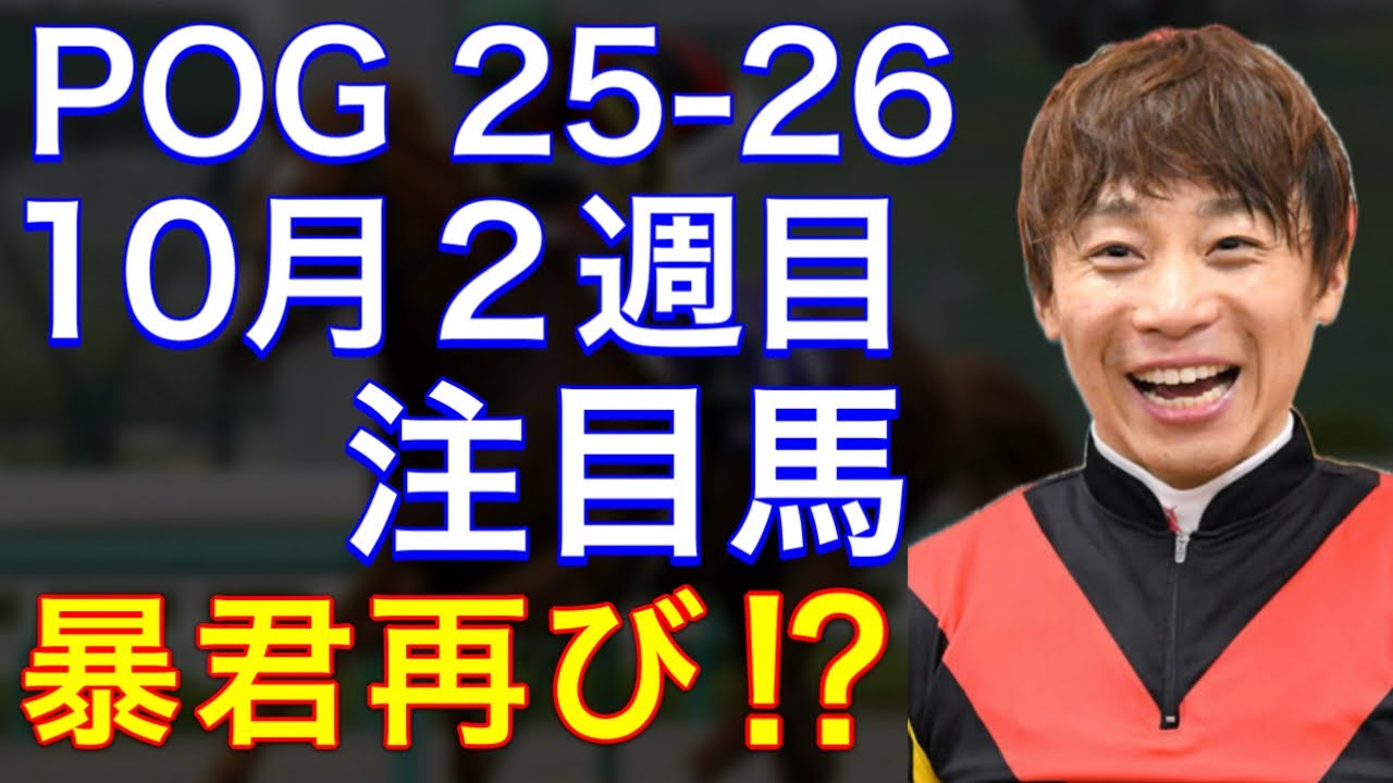 POG/25-26] Introducing the notable new horses making their debut