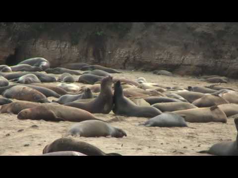 Santa Cruz and
