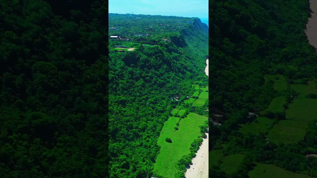 Above the Palms | Tropical Bali Drone View  #beach #peacefulwaves #balibeach