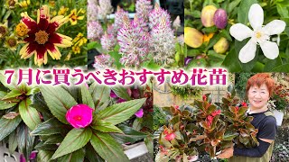 Recommended Perennials and annuals in July] Choose robust