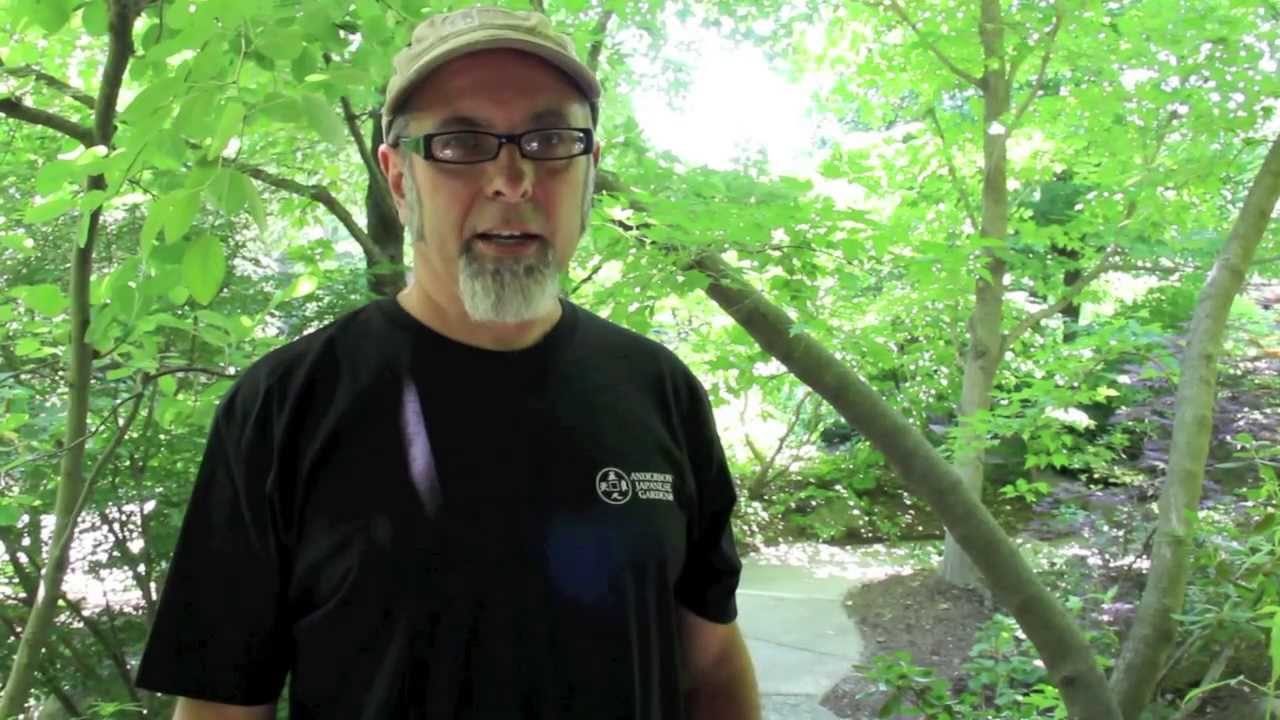 Rockford Garden Judges Give Their feedback