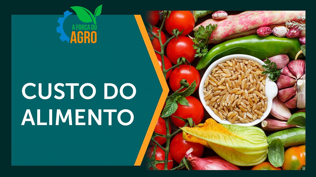 Os três vilões do agro que encarecem o alimento  |  A Força do Agro, com Joice Maffezzolli