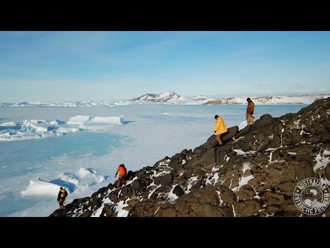 ქართველი მეცნიერი ანტარქტიდაზე | ექსპედიცია მყინვარების შესასწავლად მიემგზავრება