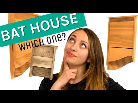 Which bat house