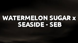 Harry Styles + Watermelon Sugar x Seaside - SEB (Lyrics) [TikTok Song]