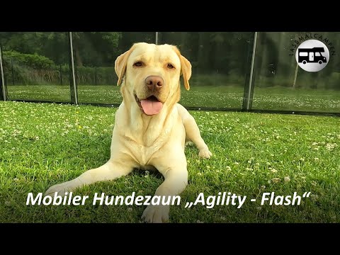 Mobiler Hundezaun "Agility-Flash", perfekt für den entspannten Campingurlaub mit Hund