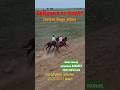 🔥🔥ЕрҚасқа ^ АсуАт🔥🔥 Сағабүйен ауылы 21.05.2023 #compilation #horse #horseriding #war #rek #концовка