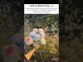 life is beautiful 🌸✨#edits#fyyppppp#shortsfeed#motivationalshorts#controlyourmind#viralahorts