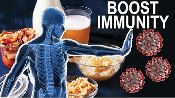 How to Boost your Immune System with Fermented Foods and Probiotics | Science-based answer