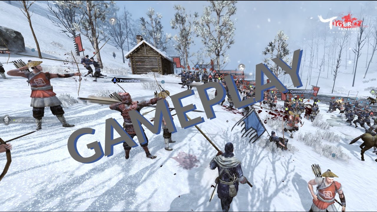 Tiger knight network error