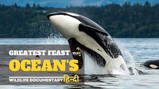 Greatest Feast - हिन्दी डॉक्यूमेंट्री | Wildlife documentary in Hindi