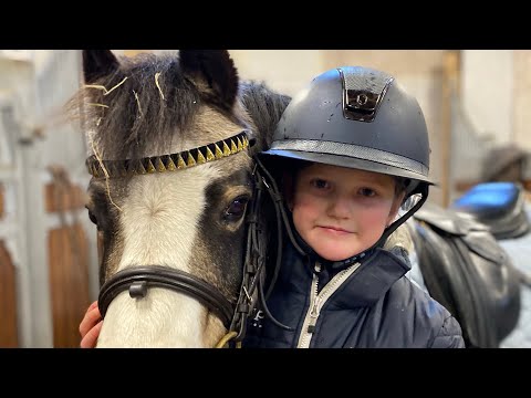 Video: Sköter Om Trebenta Hundar Och Katter, även Kallad 