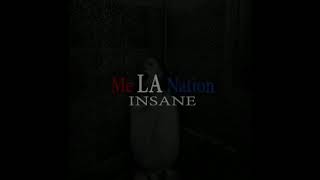 ME__(L.A)__NATION__INSANE___
