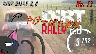 「DiRT Rally 2.0」11