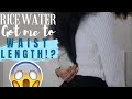 RICE WATER IS THE TRUTH AND NOTHING BUT! | EXTREME HAIR GROWTH IN JUST 6 WEEKS! | YAA YAA