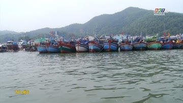 Thành phố Vũng Tàu ngăn chặn, xử lý nghiêm ngư dân vi phạm vùng biển nước ngoài | BRTgo