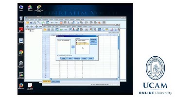 Estadística con SPSS - Análisis de frecuencias variables cualitativas - Jesús Soto