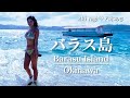 【バラス島】沖縄の西表島沖で小さく浮かぶ奇跡の珊瑚礁の島|アラフォーOLのBeachめぐり♡八木あき
