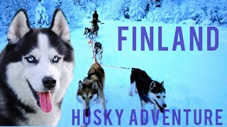 Husky Sledding in Lapland #travel #adventure #winter #dog #fun #sledding #travel #travelvlog