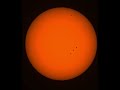 Today's Sun/ sunspots. Object flyby 37sec in, bottom left 9.09.2025. 11.10am. Seestar s50 telescope