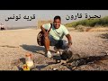 قرية تونس 😍 و بحيرة قارون اللي مش قارون 😂 - الفيوم الجزء التاني