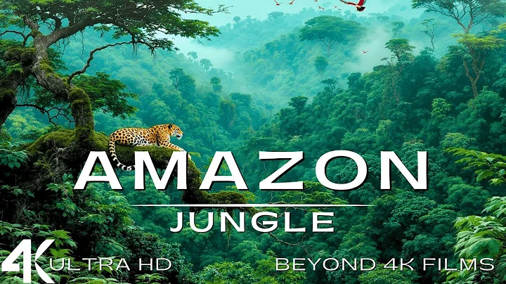 The Amazon 4K - Scenic Wildlife Film With Calming Music
