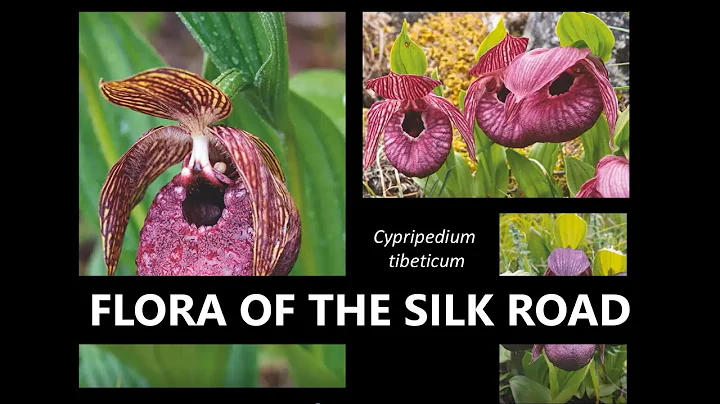 Flora Silk Road - A talk by Christopher Gardner fo...