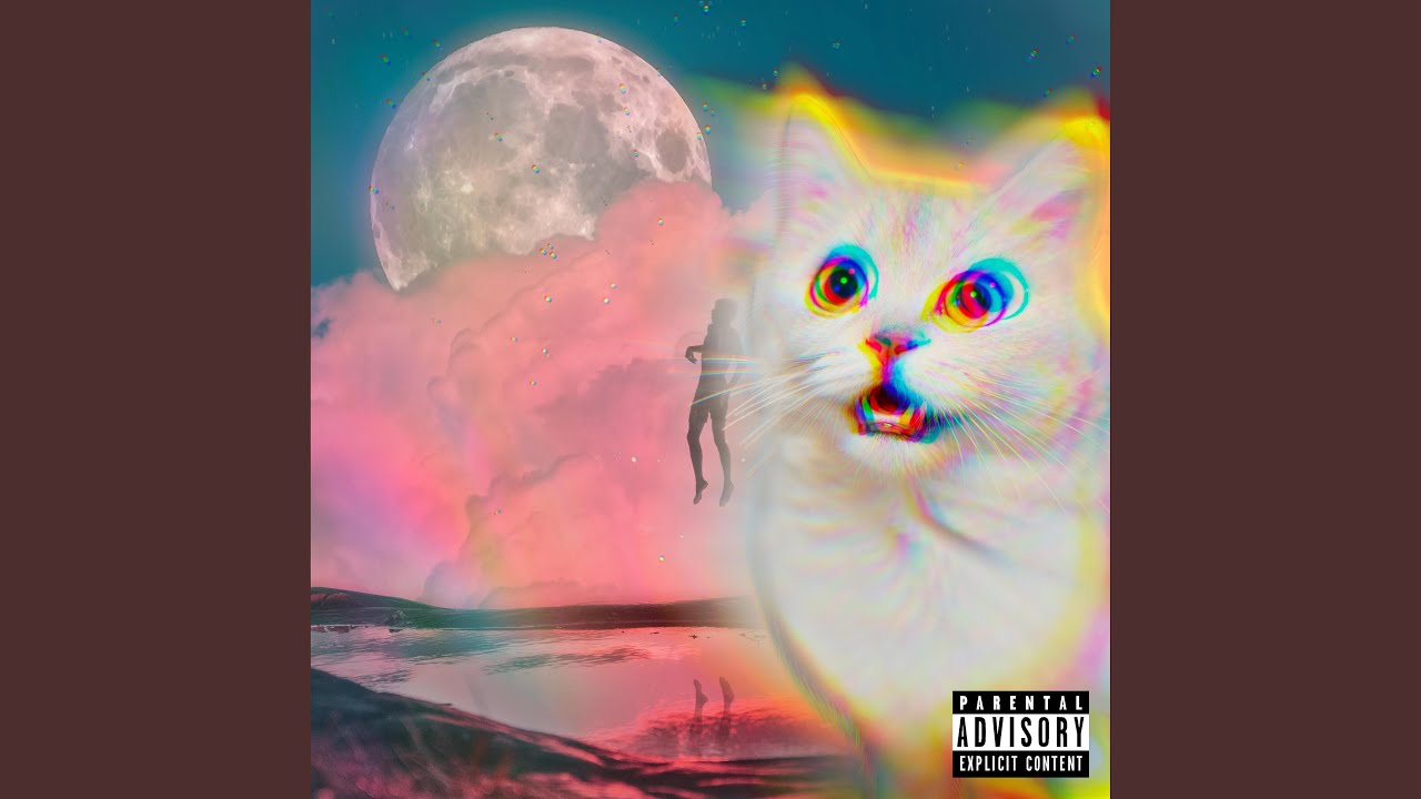 The Great Glass Elevator YouTube