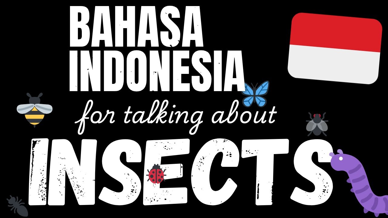 100 Easy Bahasa Indonesia sentences - Insects | Learn A1 Bahasa Indonesia vocabulary