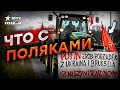 Восхваляют Путина, БЛОКИРУЮТ границу и ВЫСЫПАЮТ ЗЕРНО... Что не так с ПОЛЬШЕЙ