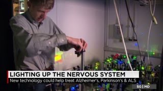 New tool helps scientists see neurons