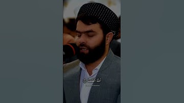 بيشةوا قادر الكردي سورة الاخلاص #پێشەوا_قادر_الکردی #سورة_الإخلاص