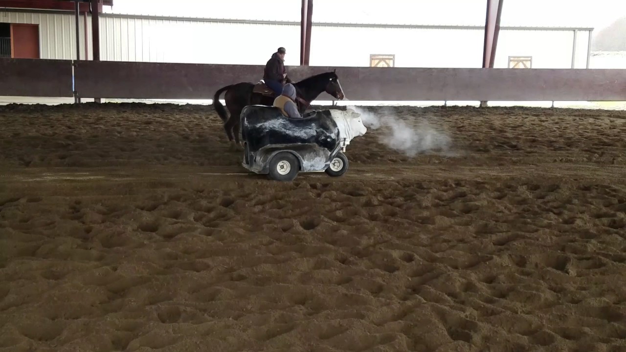 Finished Cutting Horse For Sale YouTube