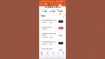 Productivity Tips! || CATS Video Code #Cats #Catsvideeocode #Videocode #Catsairdrop
