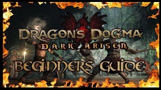 Dragons Dogma Beginner's Guide for 2020