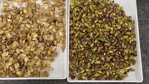 AMD pistachio nuts sorting by chute type infrared/ingaas optical sorter machine#factory #machine