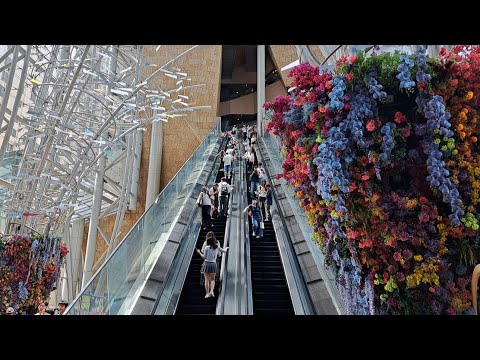 LangHam Place to Olympic City|Mongkok|Hongkong|NLTV12|