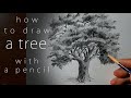how to draw a tree как нарисовать дерево