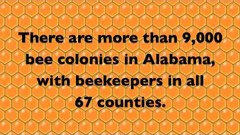 Alabama Beekeeping