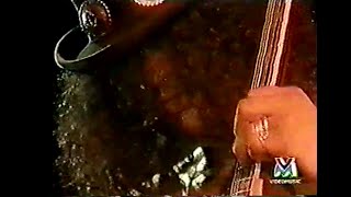 SLASH'S AND SNAKEPIT - LIVE PISTOLA BLUES FESTIVAL (1995)