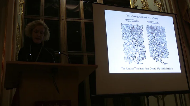 2019 Gold Room Lecture -  Dr. Joan Fitzpatrick