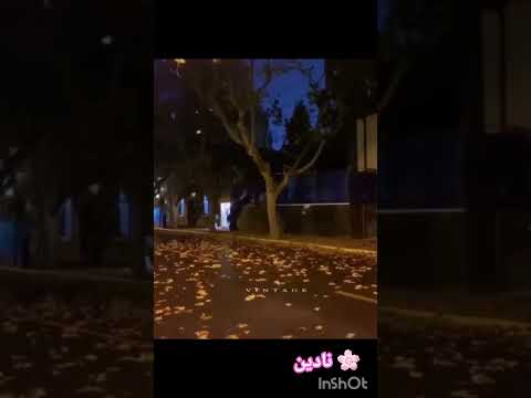 حقك عليا ياليالي ماتزعليش جورج وسوف