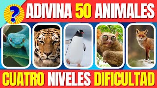 ¡¡ Adivina 50 ANIMALES !!  FÁCIL a IMPOSIBLE  Mega Quiz  Trivia