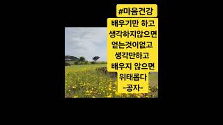 #마음건강 #한번뿐인인생 #꿈마을교육원#인생명언