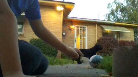 Water bottle flipping only landed at once